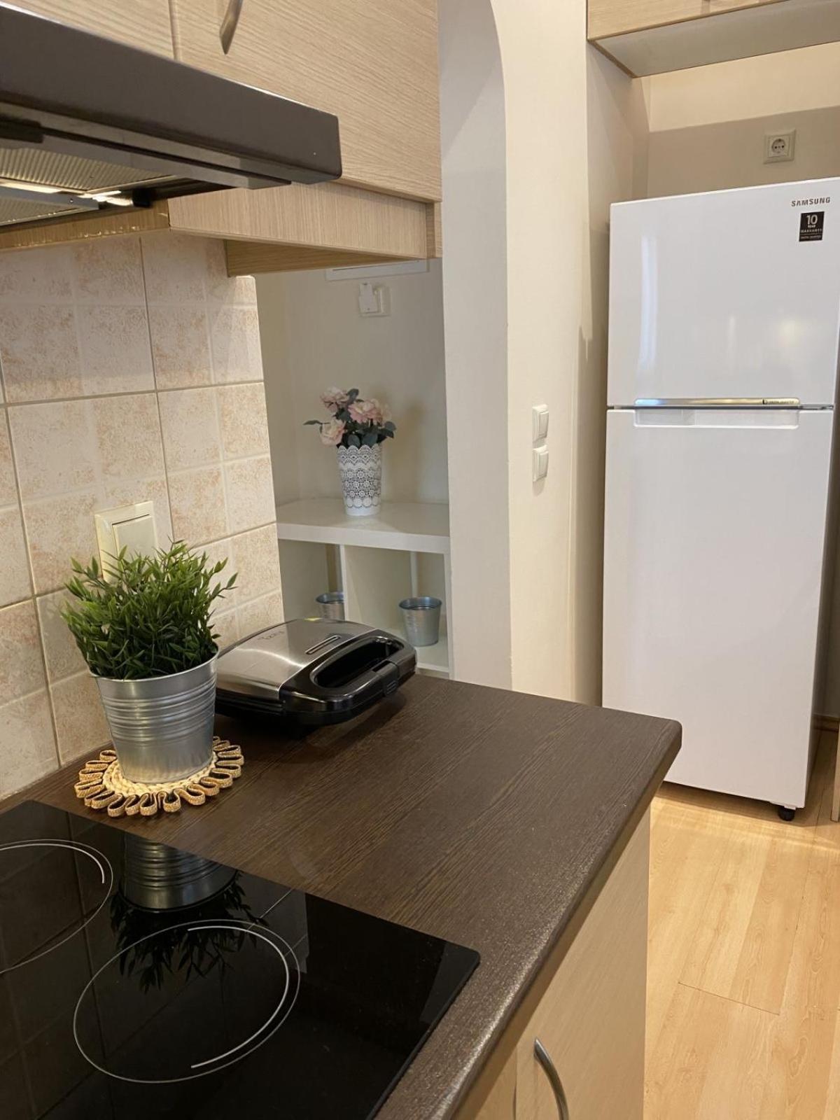 Elegant Glyfada Apartment-Private Garden-Near Metro Athén Kültér fotó