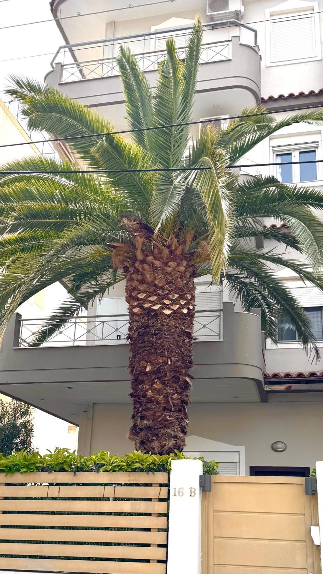 Elegant Glyfada Apartment-Private Garden-Near Metro Athén Kültér fotó